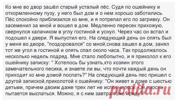 Новости