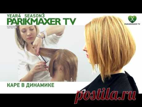 Каре в динамике ✰✰✰✰✰ Ольга Дикая. Парикмахер тв.