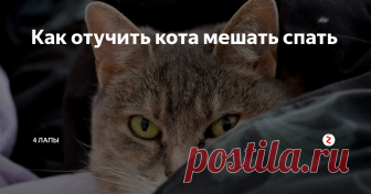 Как отучить кота мешать спать Кот с недавних пор по ночам начал совершать променад по спинке нашей кровати, именно по той, которая над нашими головами...