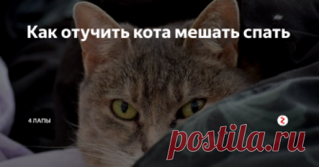 Как отучить кота мешать спать Кот с недавних пор по ночам начал совершать променад по спинке нашей кровати, именно по той, которая над нашими головами...