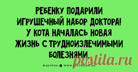 шутки фото – Google Поиск