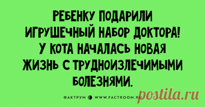 шутки фото – Google Поиск