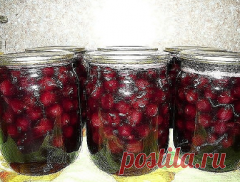 ВИШНЯ в ЖЕЛЕ - Очень ВКУСНО и КРАСИВО
Вначале нужно немного потрудиться - очистить вишню от косточек
Очищенной вишни нам нужно трёхлитровую банку (просто рецепт у меня рассчитан на такое количество ягод).
Далее-разводим в 0,5л.воды 70 г желатина, даём ему набухнуть.
Пока желатин набухает, подготовленную вишню засыпаем сахаром - его нужно взять ровно 1 кг и, доведя до кипения, кипятим 3-5 минут.
Набухший желатин нагреваем, но не кипятим,чтобы весь растворился и выливаем в к...