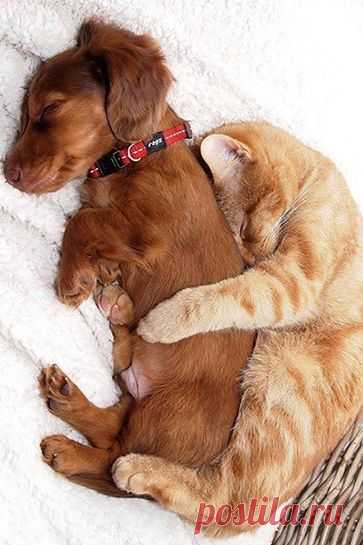 <3