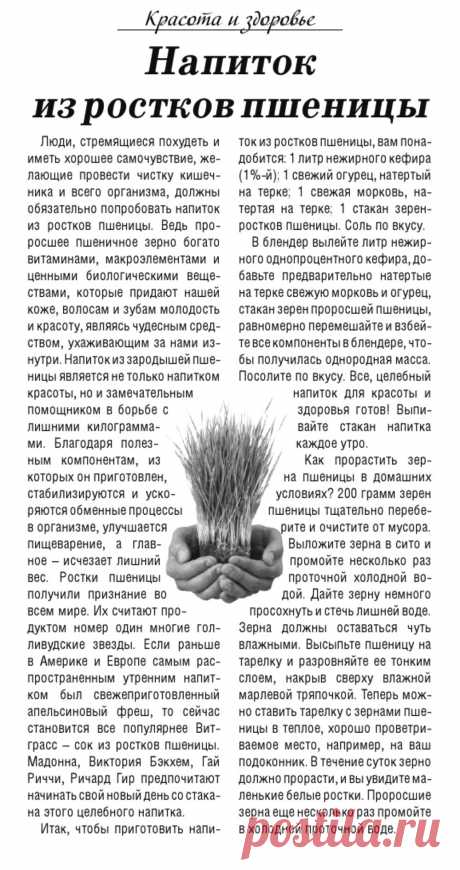 Напиток из ростков пшеницы