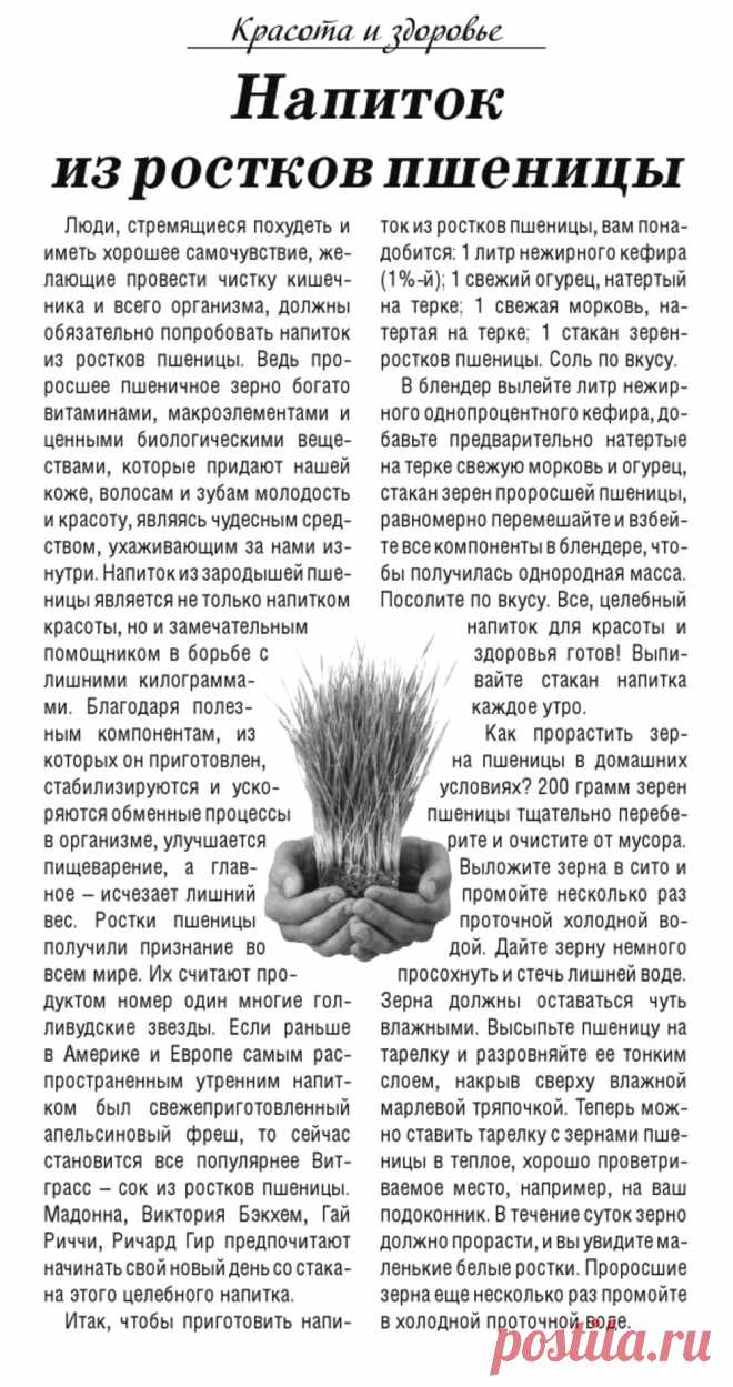 Напиток из ростков пшеницы