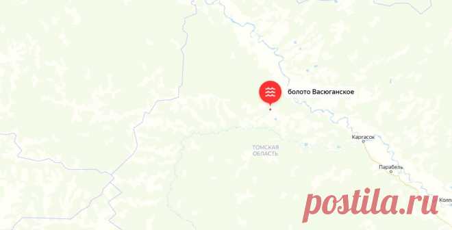 Здесь находится самое гигантское болото на планете. Какая же там глубина | Зона-51 | Яндекс Дзен