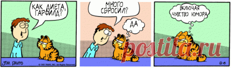 1980-08-06