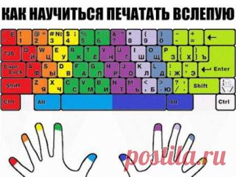 Как научиться печатать "вслепую"? 

1) Не смотрите на клавиатуру. Должна работать не зрительная память, а Ваши пальцы. Всю работу тут выполняет мышечная память, используя тактильные ощущения пальцев. Если пальцы запомнят расположение клавиш, печатать будет гораздо проще. Если Вам трудно сдержаться и Вы время от времени все таки поглядываете на клавиатуру, советуем воспользоваться маленькой хитростью. Возьмите самоклеющуюся бумагу (которую потом можно легко снять) и заклейт...