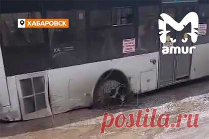 Два автобуса с россиянами провалились в ямы и попали на видео