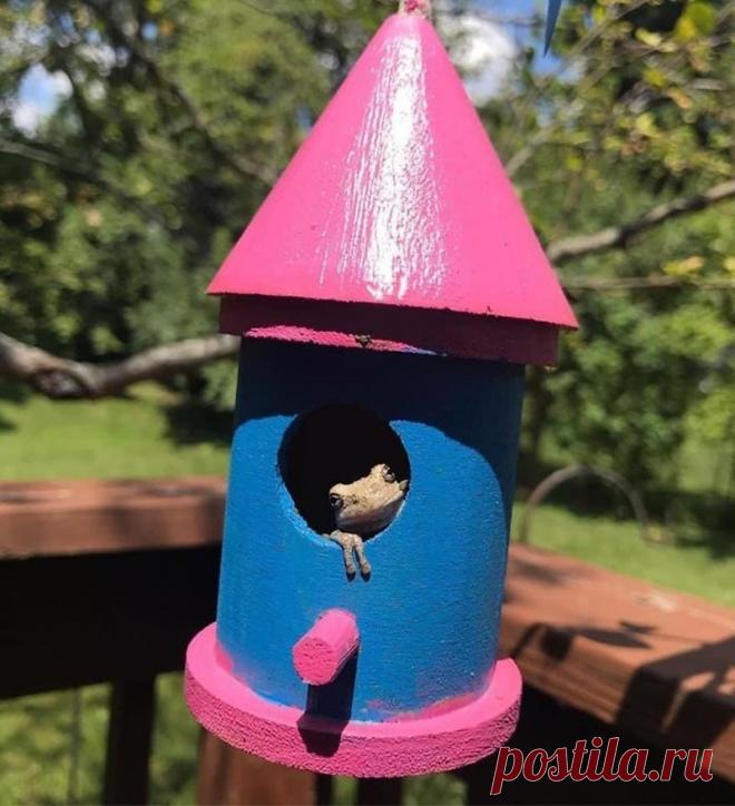 15 фото о том, что животные тоже попадают в неловкие ситуации