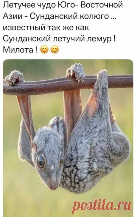 Выпуск №6696 - выпуск анекдотов сайта вокруг смеха