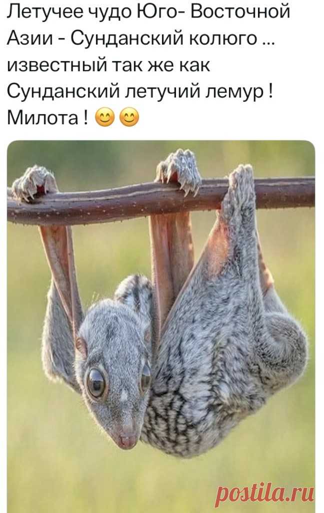 Выпуск №6696 - выпуск анекдотов сайта вокруг смеха