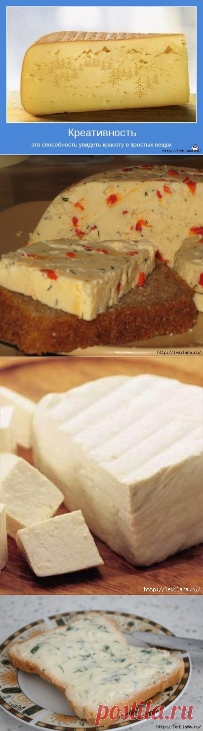 10 рецептов лучших домашних сыров