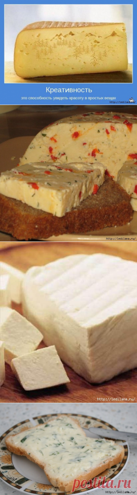 10 рецептов лучших домашних сыров