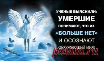 Ученые выяснили: умершие понимают, что их 