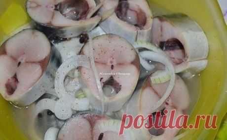 Скумбрия маринованная (6) Одноклассники