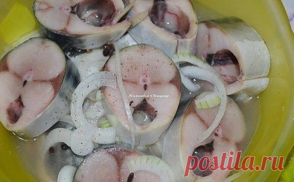 Скумбрия маринованная (6) Одноклассники