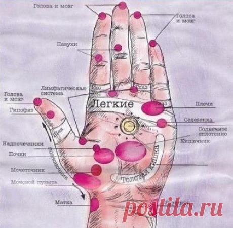 Целительная сила рук

Оказывается, с помощью целительной силы ваших рук, вполне возможно избавиться от головной боли без лекарств , для этого необходимо лишь освоить простые методы.

Рефлексотерапия - это воздействие на биологически активные точки, которые, как известно, являются нервными рецепторами, отвечающими за работу различных органов и систем организма. В результате может нормализоваться давление, снизиться уровень холестерина, повыситься иммунитет.