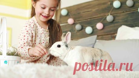 Под знаком кролика: что такое Cruelty Free косметика и почему ее называют этичной?