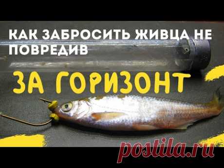 .- РЫБАЛКА  на ЖИВЦА   --РЫБОЛОВНЫЕ СЕКРЕТЫ --