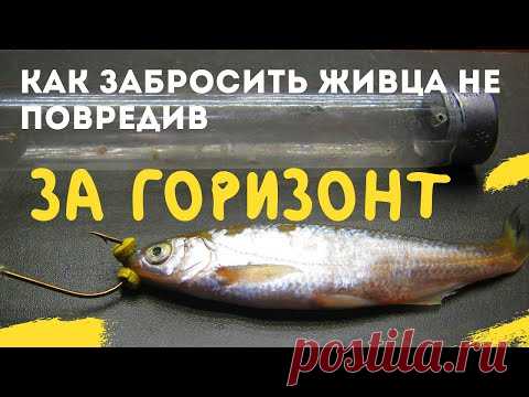 .- РЫБАЛКА  на ЖИВЦА   --РЫБОЛОВНЫЕ СЕКРЕТЫ --