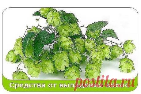 Народные рецепты для укрепления и от выпадения волос