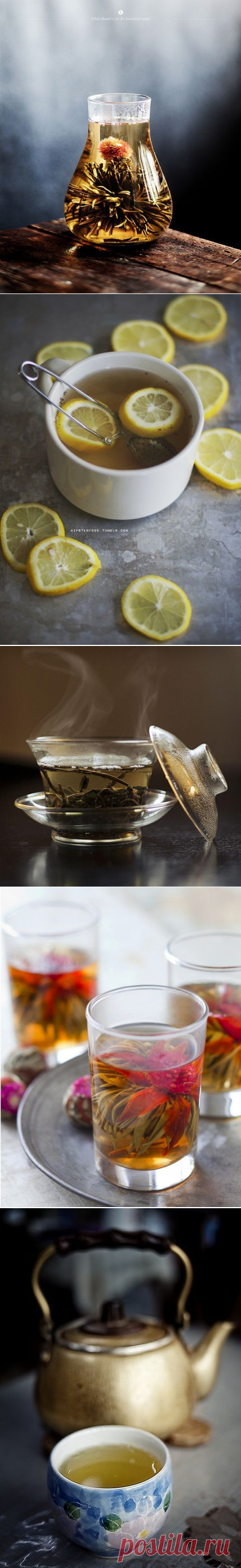 10 неоспоримых доводов раскрывающих всю пользу зелёного чая