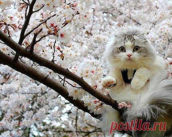 (1) Мой Мир@Mail.Ru