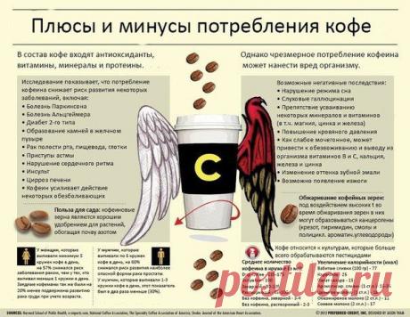 Плюсы и минусы потребления кофе