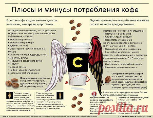 Плюсы и минусы потребления кофе