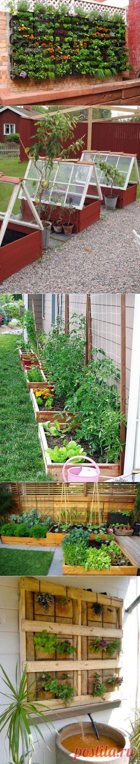 ДАЧНЫЕ ИДЕИ | Самоцветик