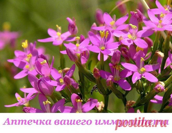 (64) Одноклассники