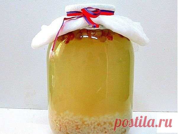 Рисовый квас от остеохондроза
