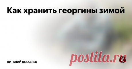 Как хранить георгины зимой. После небольших заморозков листья и стебли георгинов тут же пожухли, но корневая система по-прежнему зреет, поэтому не спешите выкапывать любимые растения.
Самое подходящее время для выкопки ....
