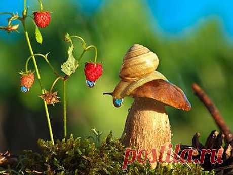 (1) Facebook