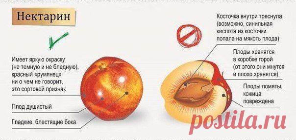 Как правильно выбрать сезонные фрукты и ягоды? | Хитрости жизни