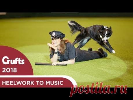 Freestyle Heelwork to Music Competition - Part 1 | Crufts 2018