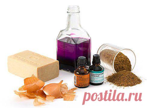 Методы борьбы с насекомыми в саду

Как вы предпочитаете бороться с насекомыми вредителями ?
Всего участников: 41
1

Механическим способом
28

Народными средствами
7

При помощи химикатов
4

Биологическими методами
1

Ваш вариант ответа (пишем в комментариях)