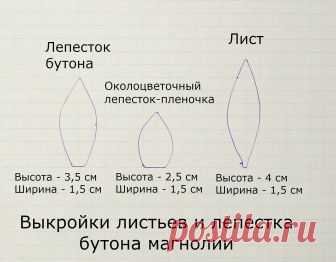 Выкройки листьев и лепестка бутона магнолии.jpg — Яндекс.Диск
