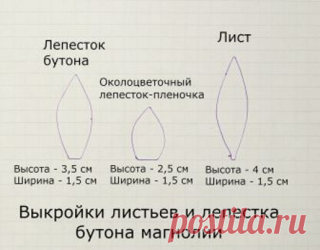 Выкройки листьев и лепестка бутона магнолии.jpg — Яндекс.Диск