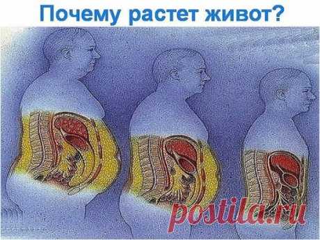 (33) Одноклассники