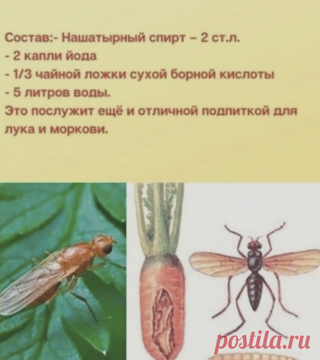 G4dpJ3MGaXpVhFg5Zl-aQIIEH7fOjMF67gJoVcsv_2tn-hvKEBF-AqBoB_ljjWtQ0jJ3337MI8Rdjha9USWwp188.jpg (932×1048)