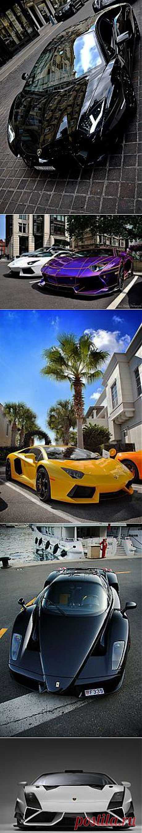 Lamborghini | HorsePower Burnout