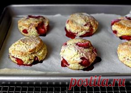 Бисквит с клубникой - LoveEat - Гастрономическая Социальная Сеть