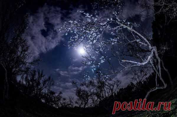 Самое крупное за десятилетие полное солнечное затмение 20 марта 2015