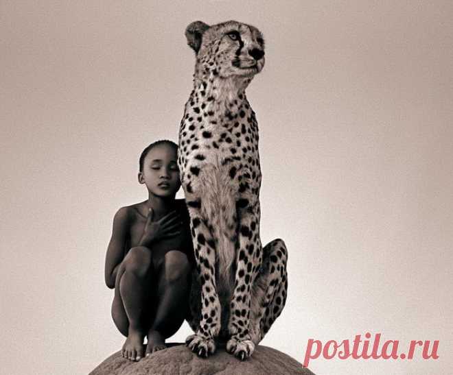 Удивительно красивые работы фотопроекта «Пепел и Снег» Грегори Колберта (Gregory Colbert) — Фотоискусство
