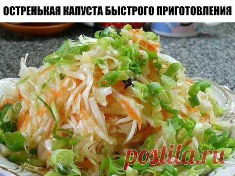 Остренькая капуста быстрого приготовления.

Капуста получается очень вкусной и моментально "сметается" с стола! 
Приготовление: 
Итак, нашинковать 2 кг свежей капусты, 
натереть 3-4 морковки на крупной терке,
4 зубчика крупного зимнего чеснока порезать.