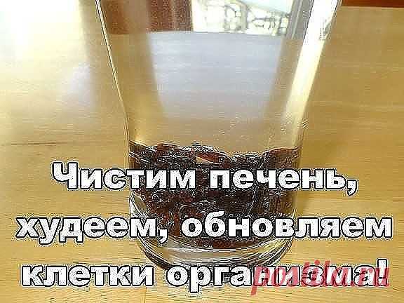 Чистим печень, худеем, обновляем клетки организма! 72 часа и пару чашечек…
Чистая кровь — чистая печень! Главный орган человеческого организма рассчитан на 600 лет работы, но человек умудряется убить его за 60 лет жизни. Неправильное питание и алкоголь уничтожают печень, клетка за клеткой. 
Мы знаем, как быстро очистить печень и привести организм в порядок. Всего за пару дней ты почувствуешь себя обновленным, исчезнут проблемы с пищеварением. Также это хорошая профилактика...