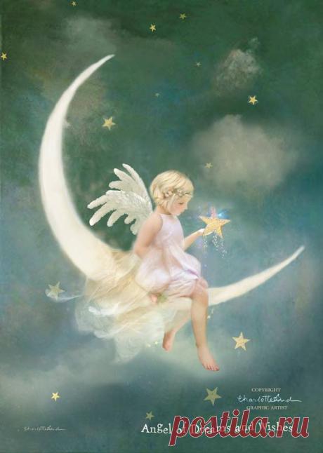 Charlotte Bird Fairy Photographer - Фото